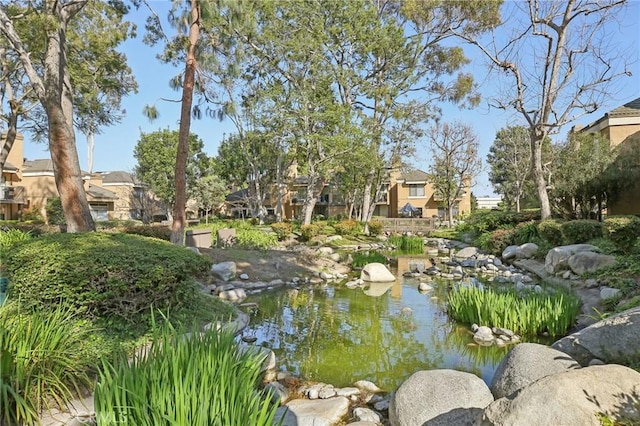 view of property's community featuring a small pond and a residential view