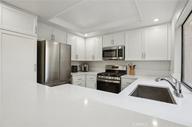 kitchen featuring appliances with stainless steel finishes, a raised ceiling, light countertops, and a sink