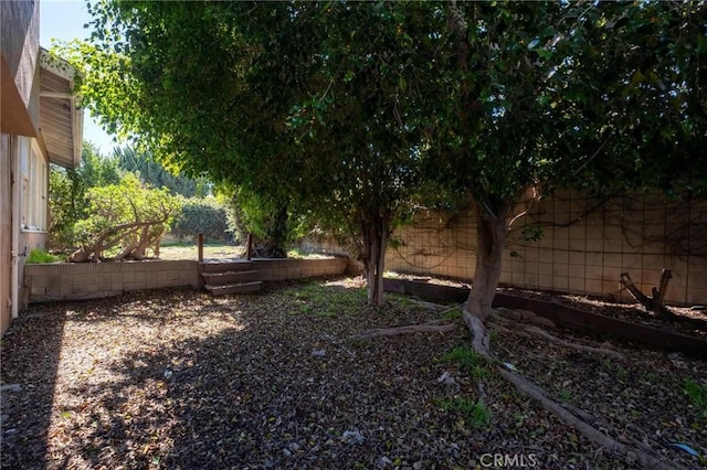 view of yard with a fenced backyard