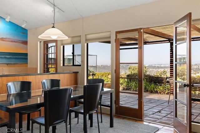 interior space featuring track lighting and french doors