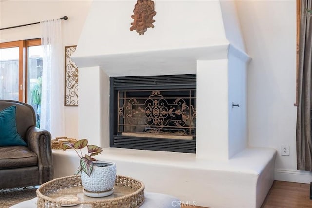 details featuring a fireplace and wood finished floors