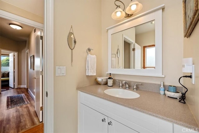 bathroom featuring wood finished floors, vanity, and a healthy amount of sunlight