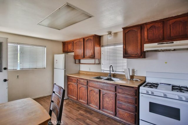 kitchen with under cabinet range hood, white appliances, dark wood-style flooring, a sink, and light countertops