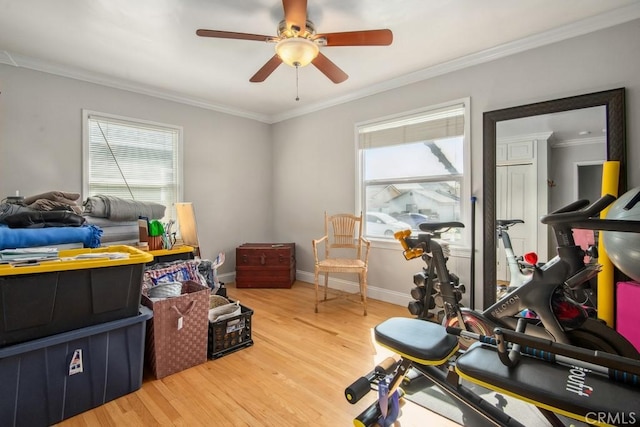 interior space featuring a healthy amount of sunlight, light wood finished floors, baseboards, and crown molding