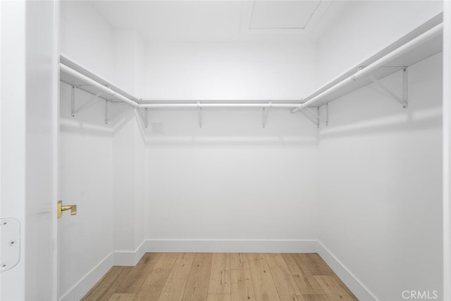 spacious closet featuring light wood-type flooring