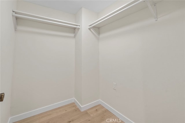 walk in closet with light wood-style floors