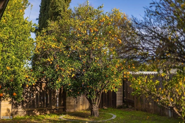 view of yard with fence