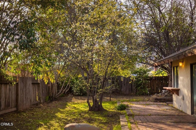 view of yard with a patio area and a fenced backyard