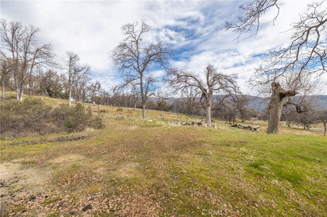 view of yard with a rural view and a mountain view