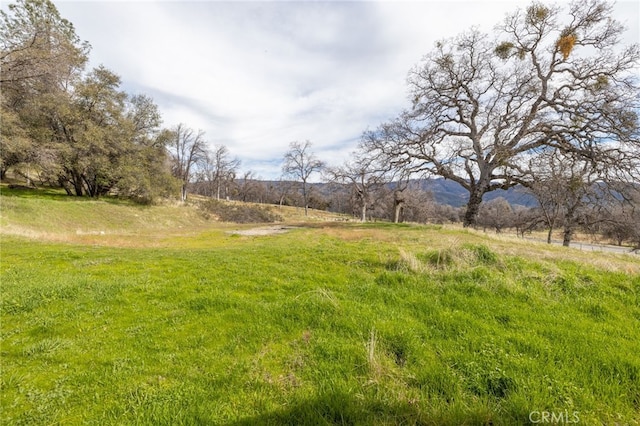 view of yard with a rural view