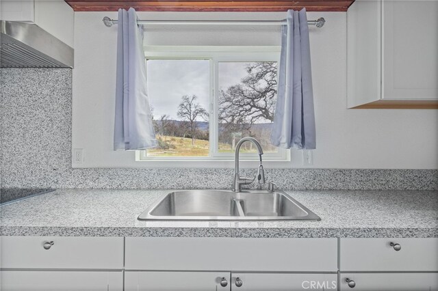 kitchen featuring white cabinets, light countertops, and a sink