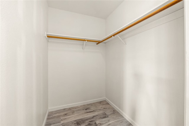 spacious closet with light wood-style floors