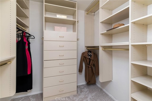 walk in closet featuring carpet flooring