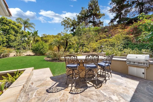 view of patio / terrace featuring outdoor dining space, area for grilling, and an outdoor kitchen