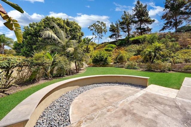 view of property's community featuring a patio area, a yard, and fence