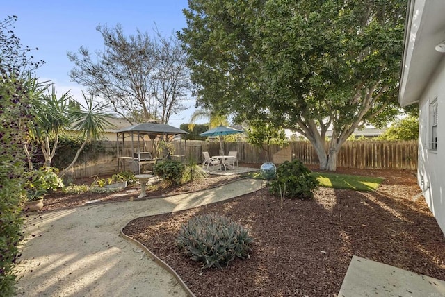 view of yard with a fenced backyard and a patio