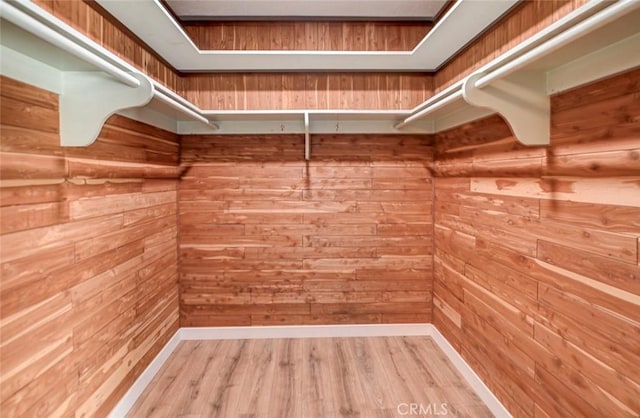 walk in closet with light wood-type flooring