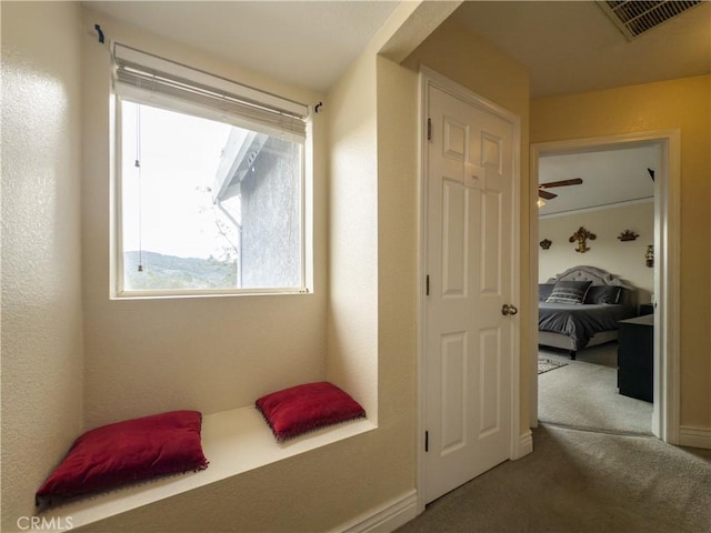 mudroom featuring baseboards, visible vents, and carpet flooring