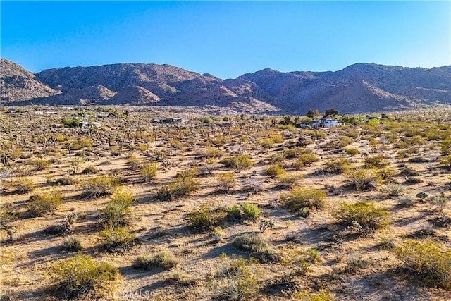 view of mountain feature