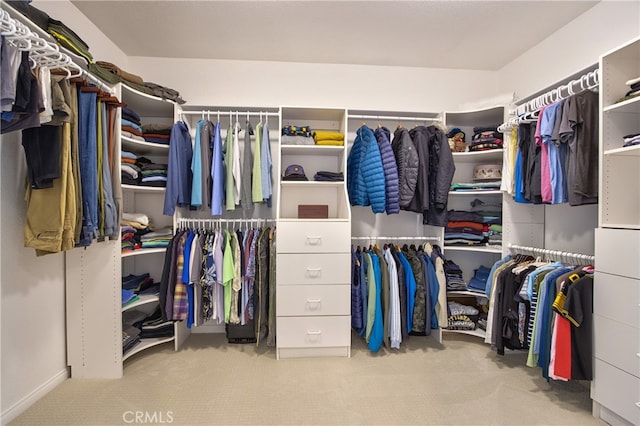 walk in closet featuring carpet