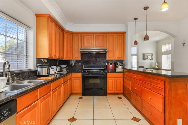 kitchen with under cabinet range hood, a sink, black gas stove, dishwasher, and tasteful backsplash