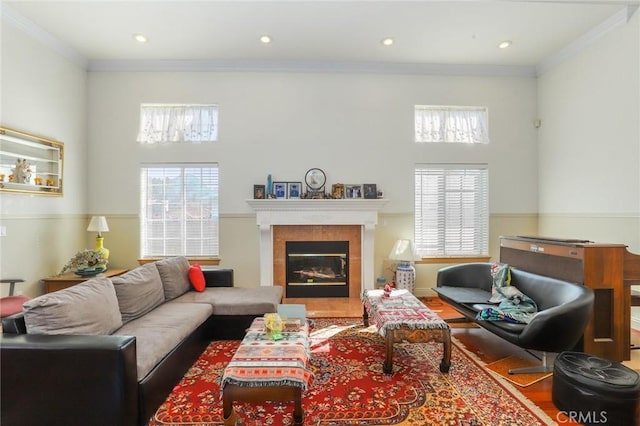 living room with a fireplace, wood finished floors, a wealth of natural light, and crown molding