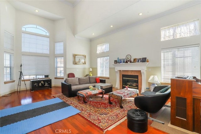 living area with a fireplace, crown molding, a high ceiling, and wood finished floors