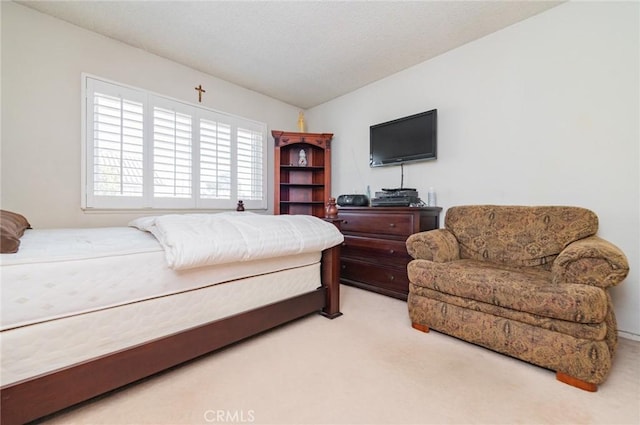 bedroom with carpet