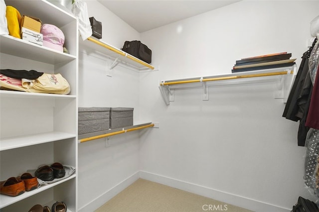 walk in closet with carpet