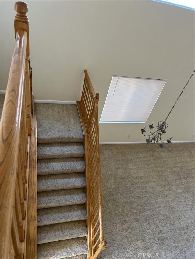 stairs with carpet flooring