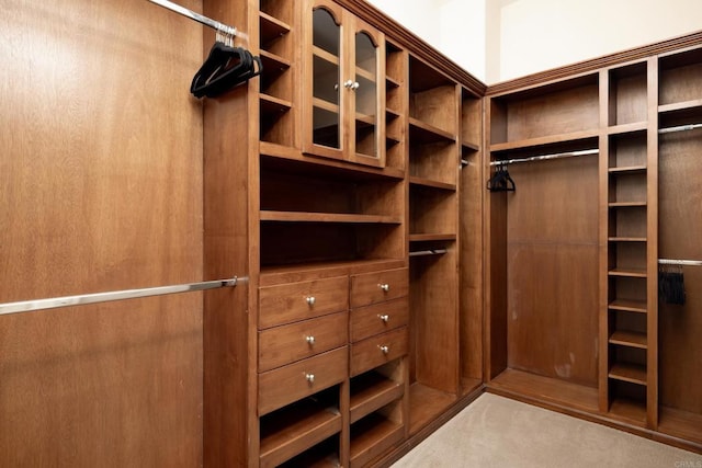 view of walk in closet