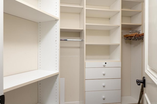 view of spacious closet