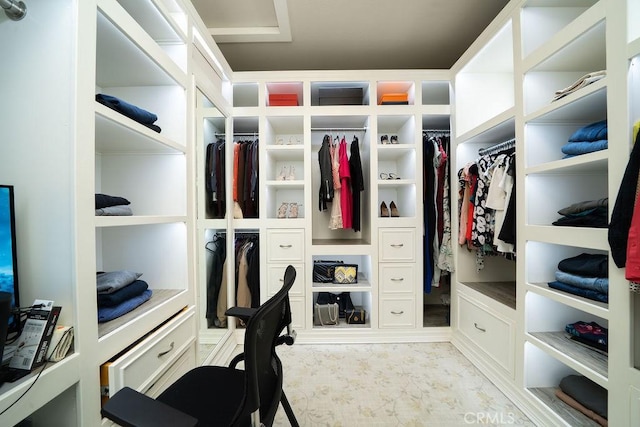 view of walk in closet