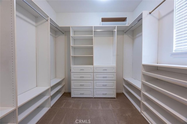 spacious closet with dark colored carpet