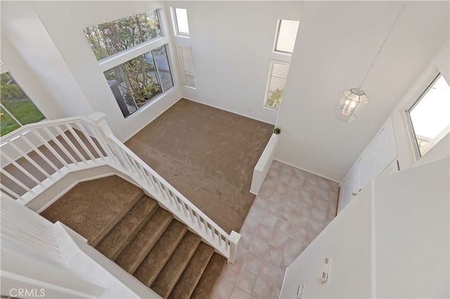 staircase featuring a healthy amount of sunlight, a high ceiling, and carpet floors