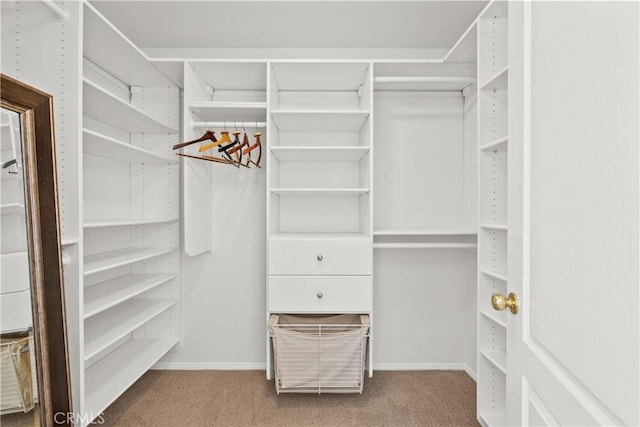 walk in closet with carpet