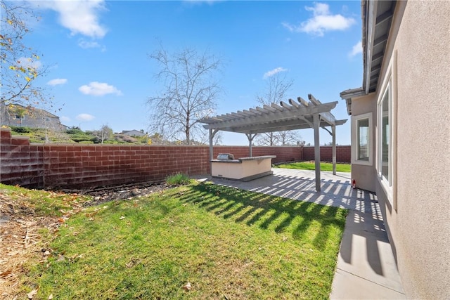 view of yard featuring an outdoor kitchen, a patio area, a fenced backyard, and a pergola