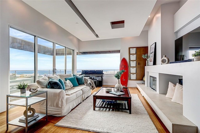 living room featuring wood finished floors and a glass covered fireplace