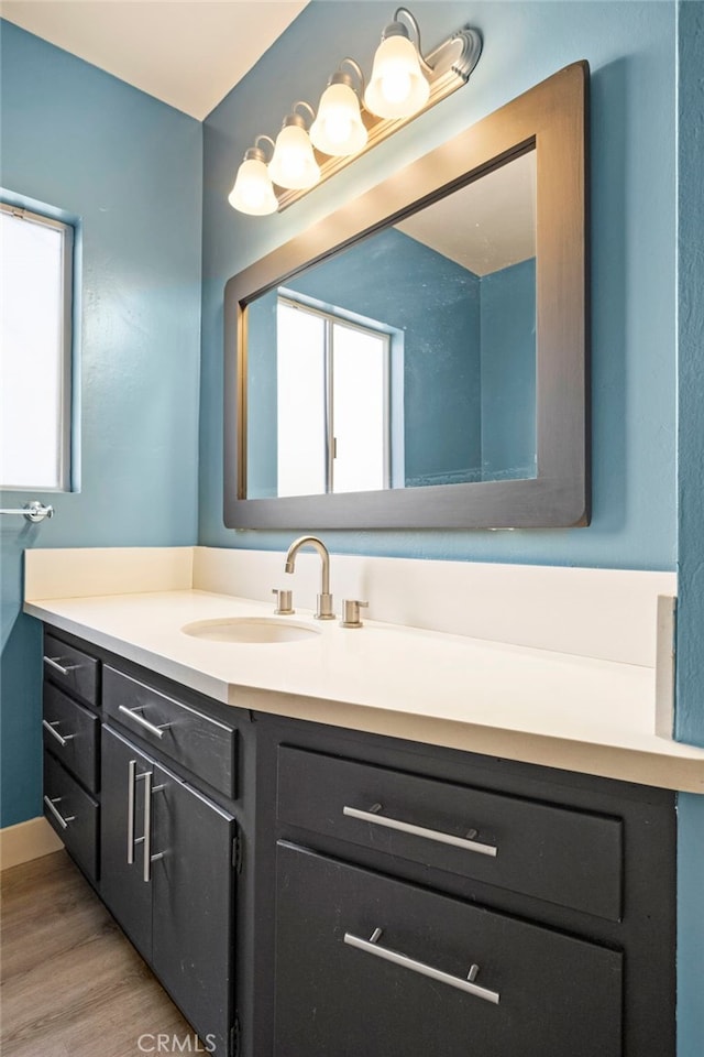 bathroom featuring wood finished floors and vanity