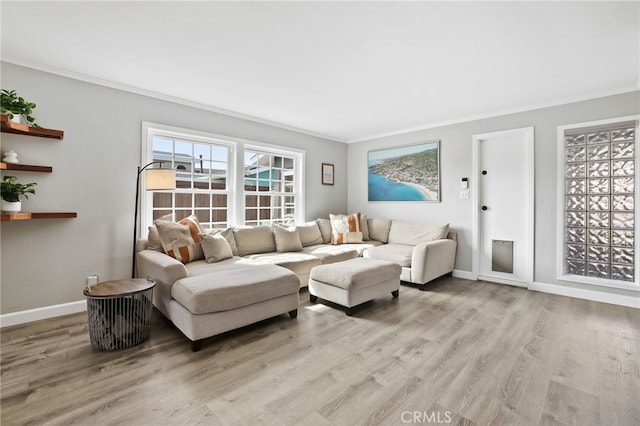 living area with ornamental molding, a wealth of natural light, light wood-style flooring, and baseboards