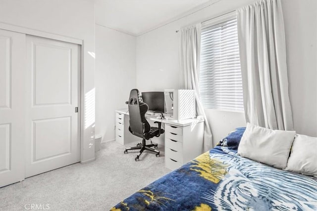 bedroom with carpet flooring