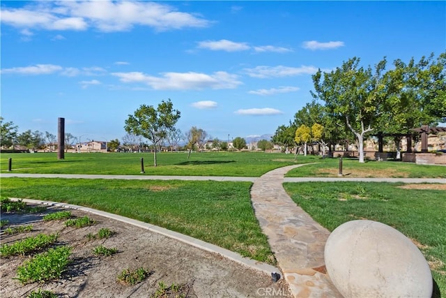 view of home's community with a yard