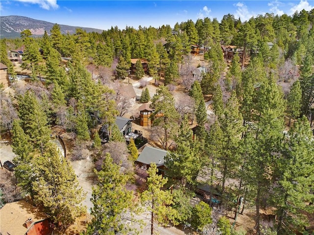 bird's eye view featuring a mountain view and a forest view