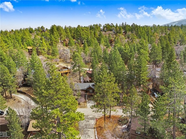 aerial view with a wooded view