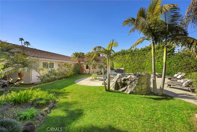 view of yard featuring a patio