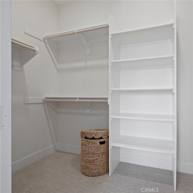 walk in closet with carpet