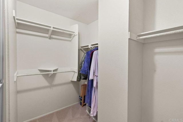 walk in closet with carpet