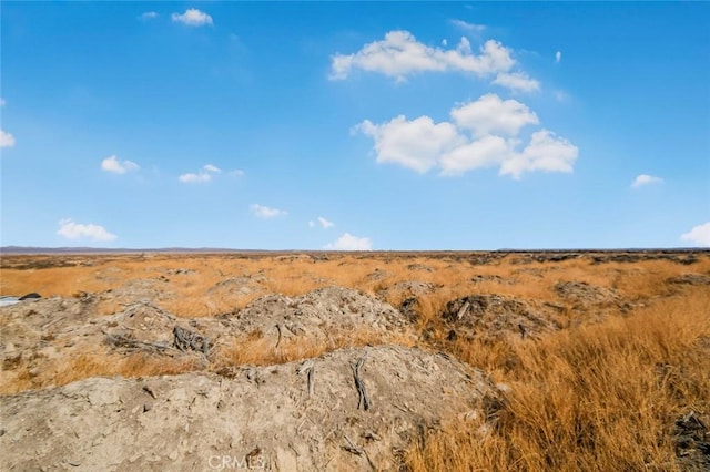 view of local wilderness