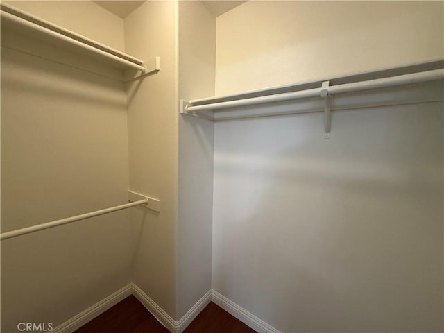 walk in closet with dark wood-type flooring