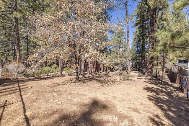 view of local wilderness